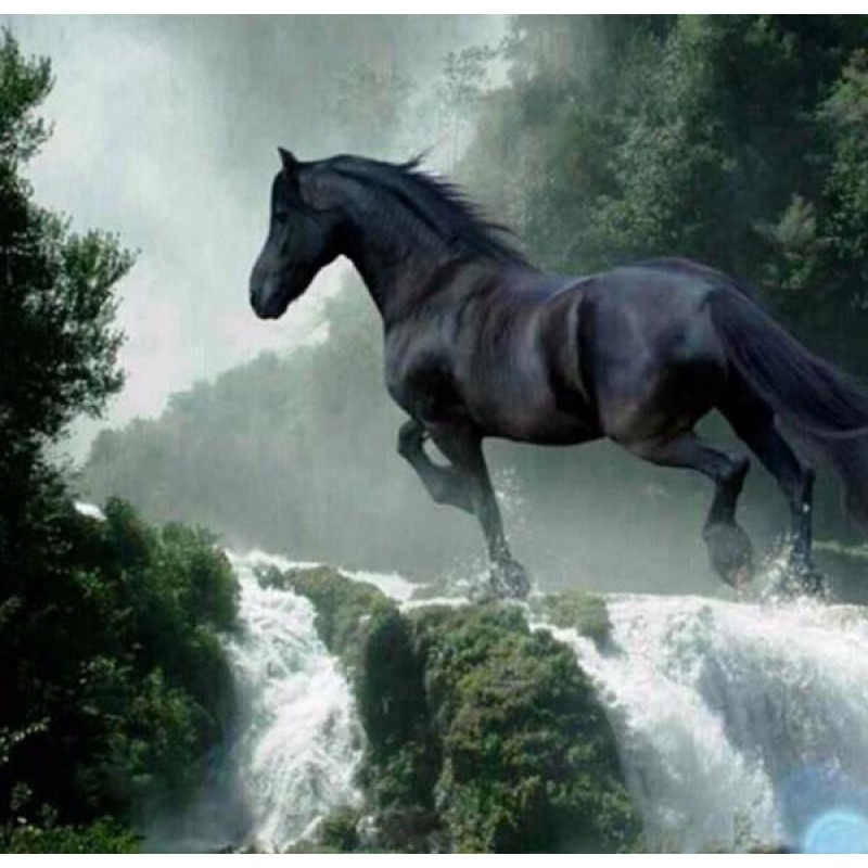 Running Black Horse
