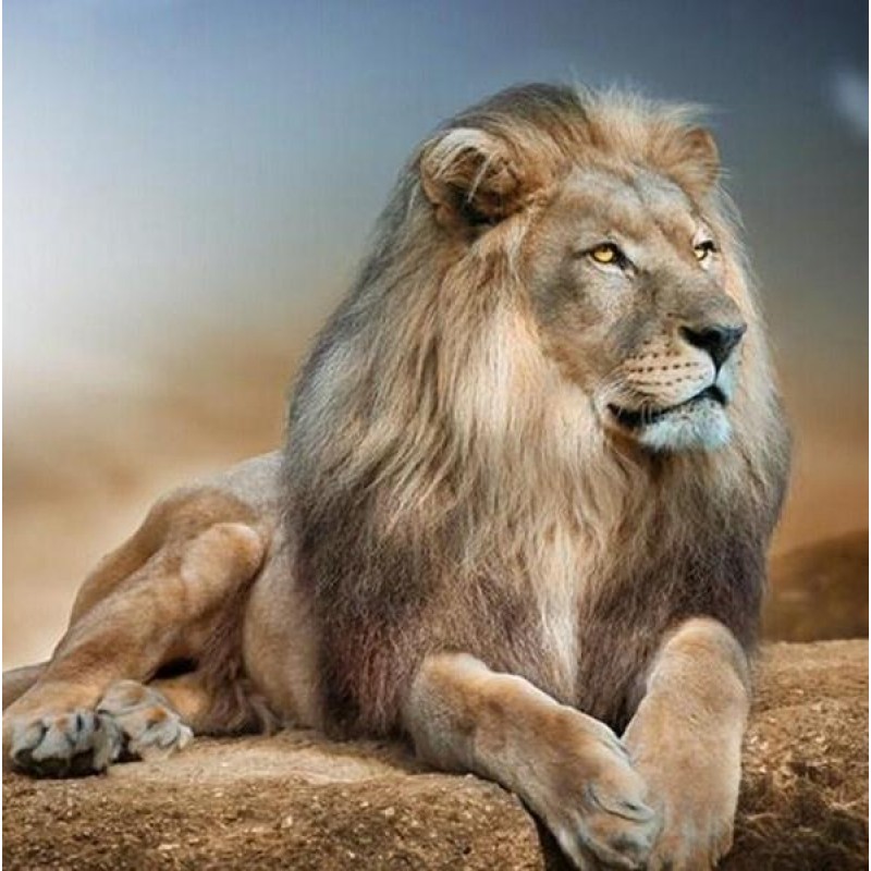 Lion 5D Diamond Pain...