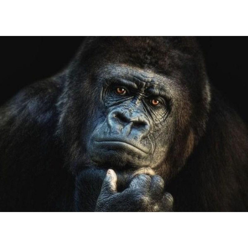 Gorilla Diamond Pain...