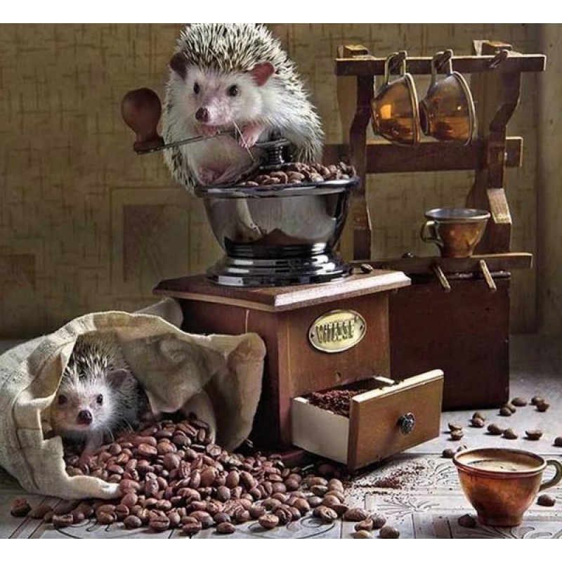 Hedgehog DIY Paintin...