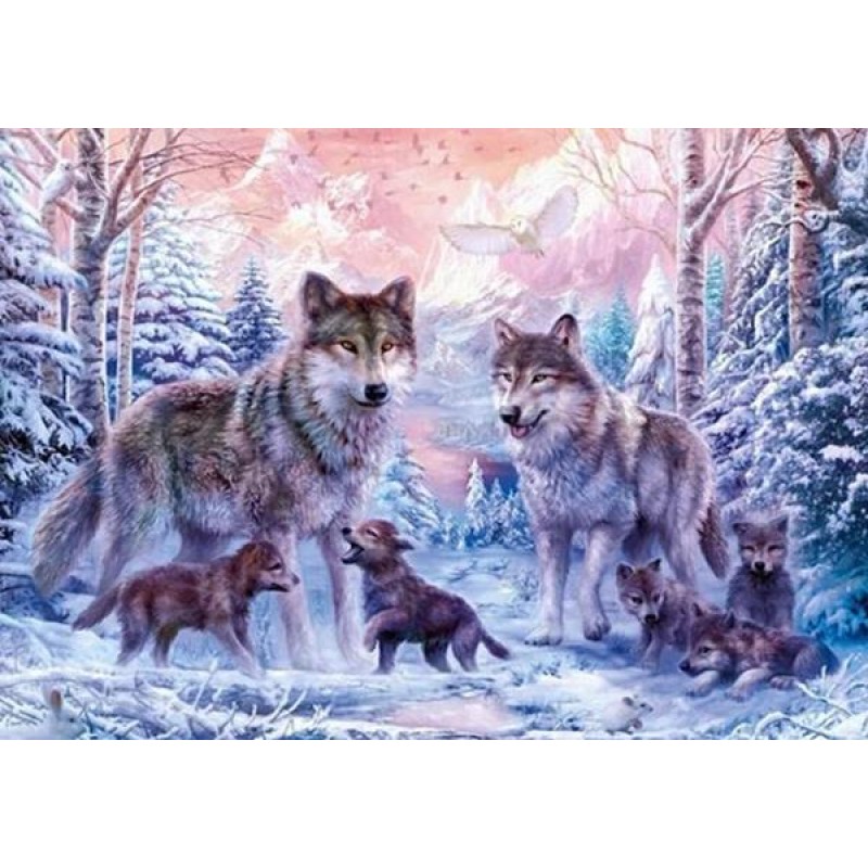 Wolves Family in Sno...
