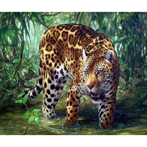 Leopard in the Forest