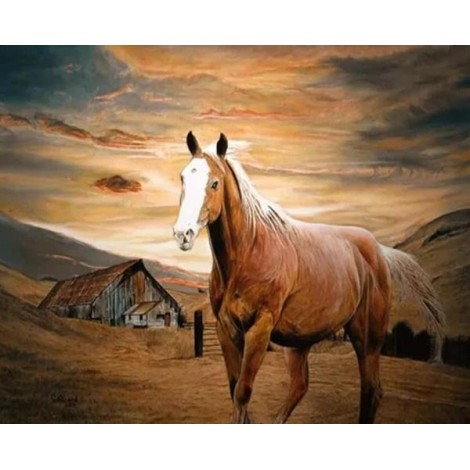Horse DIY Painting
