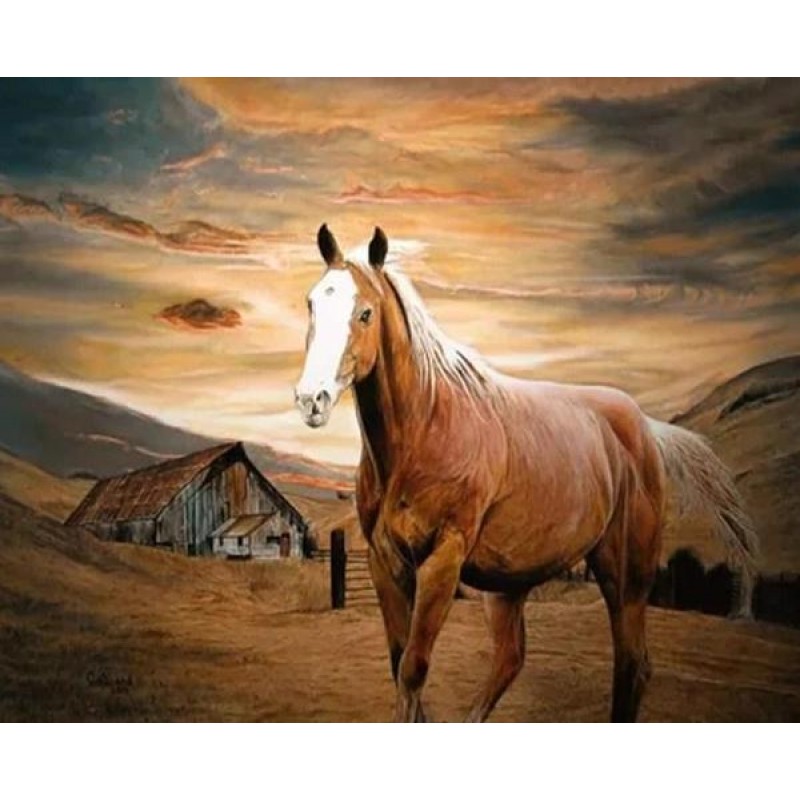 Horse DIY Painting