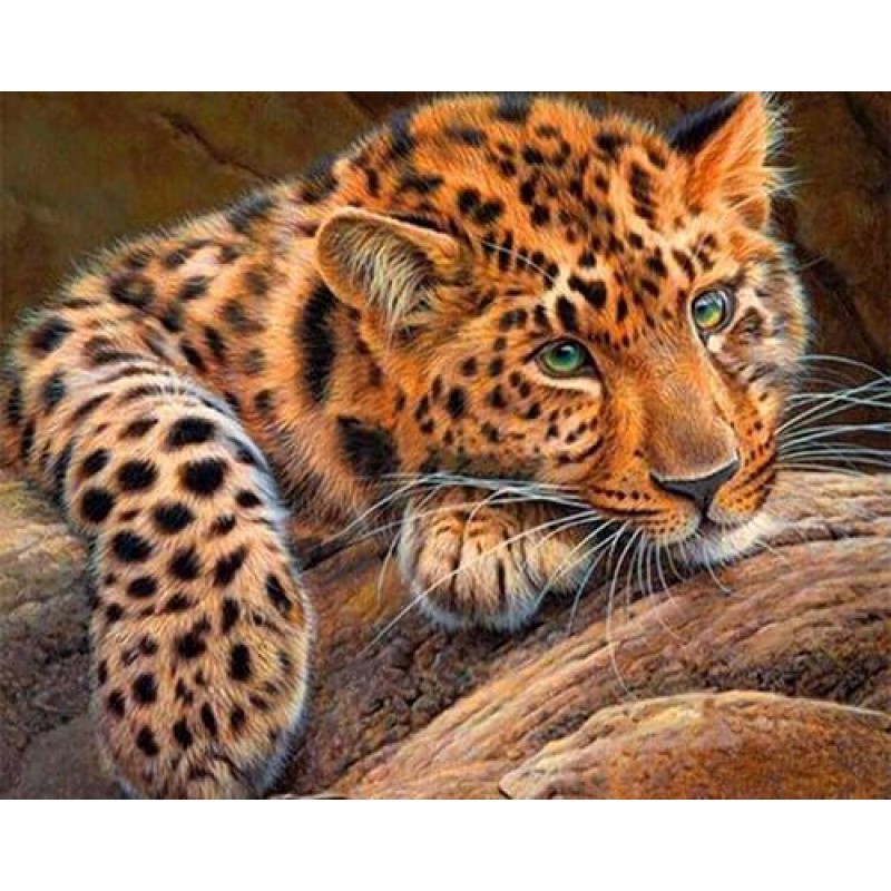 Jaguar Diamond Paint...