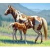 Horse with Foal Diamond Painting Kit