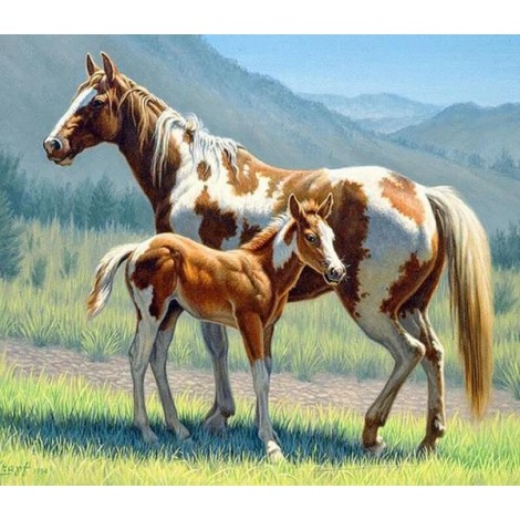 Horse with Foal Diamond Painting Kit