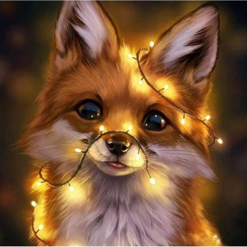 Fox Full Drill Diamo...