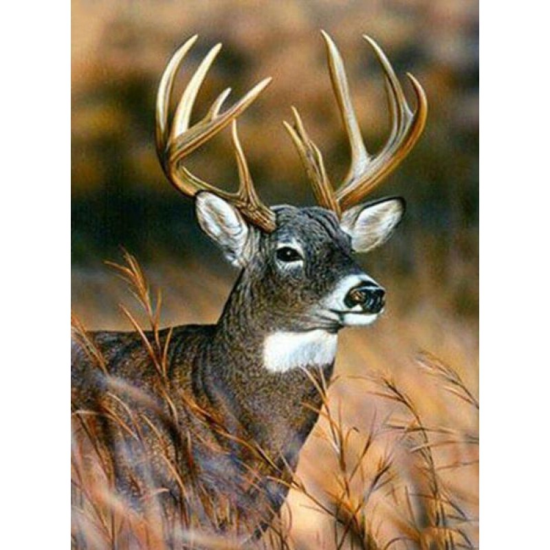 Deer 5D Diamond Pain...