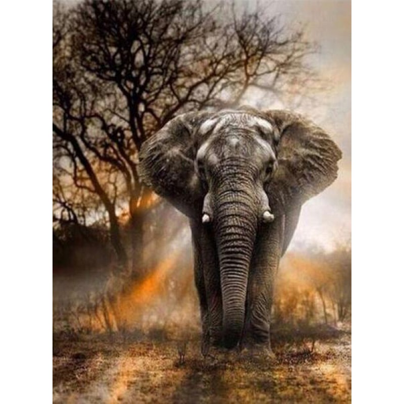 Elephant in the Fore...