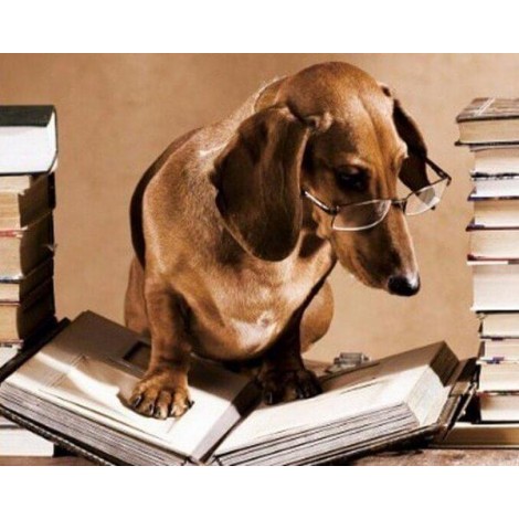 Professor Dog Diamond Painting