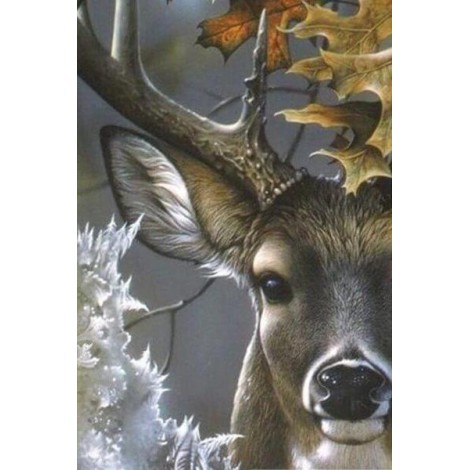Reindeer Painting Kit