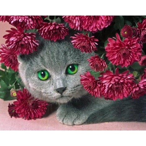Cat Hiding in Flowers