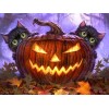 Cats behind Halloween pumpkin