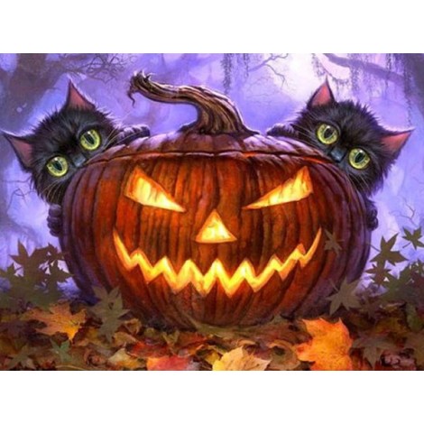 Cats behind Halloween pumpkin