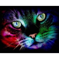 Colorful cat Diamond pain...