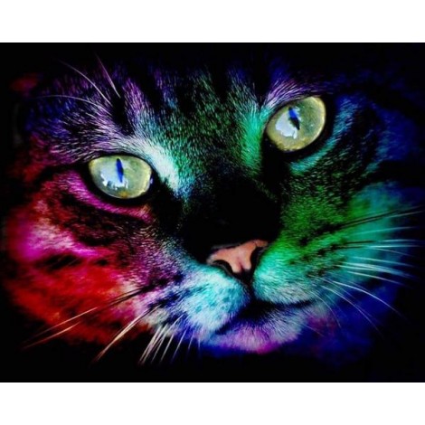 Colorful cat Diamond painting