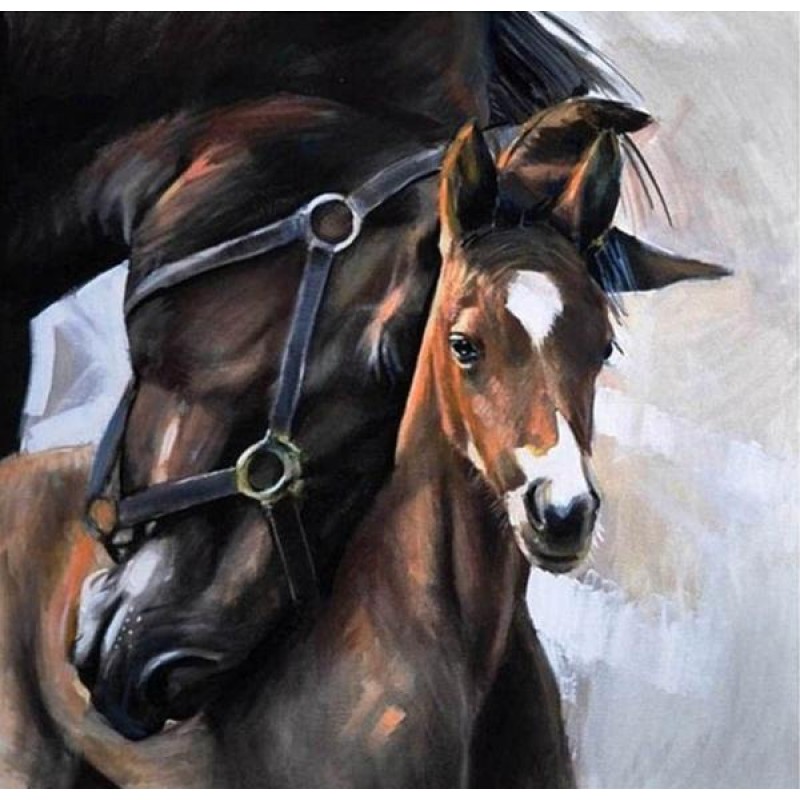 Horse Diamond Painti...