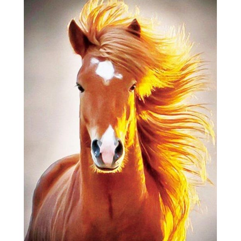 Horse 5D Diamond Pai...