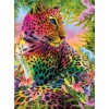 Rainbow Leopard & Flowers