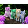 Rainbow Kittens - Paint with Diamonds