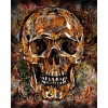 Skull DIY Diamond Painting