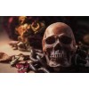 Human Skull DIY Diamond Painting