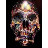 Colorful Skull DIY Diamond Painting