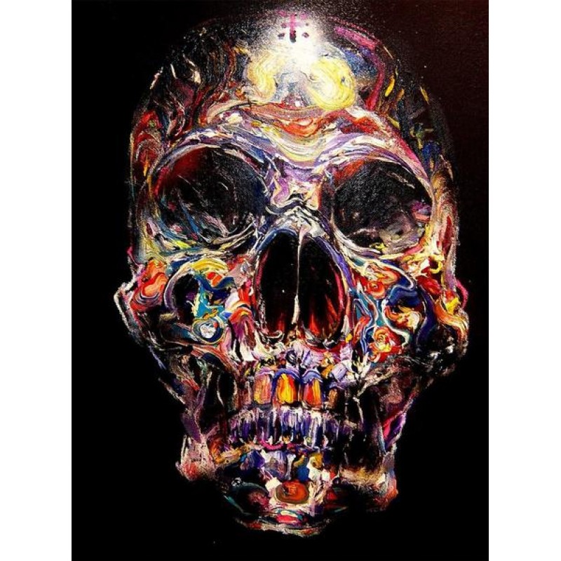 Colorful Skull DIY D...