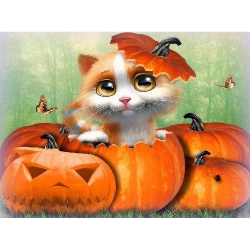 Happy Cat on Hallowe...