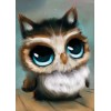 Cute Owl with Blue Eyes