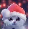 Cute Cat with Christmas Hat