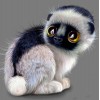 Monkey Cat Cartoon