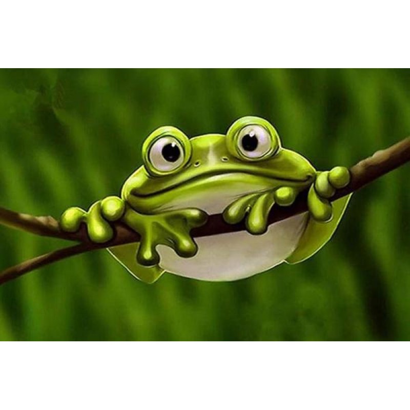 Cute Froggy - Paint ...