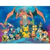 Pokemon Battle Cartoon Series