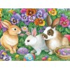 Rabbits & Flowers