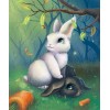 Black & White Rabbits in Forest
