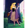 Princess Aurora from Disneyland - DIY Painting