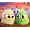 Cartoon Birds Diamond Painting