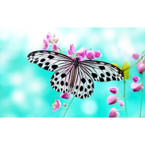 Pretty Butterfly - Diamond Painting Kit