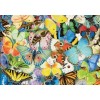 Colorful Butterfly Species - Diamond Painting Kit