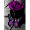 Purple Rose & Butterfly