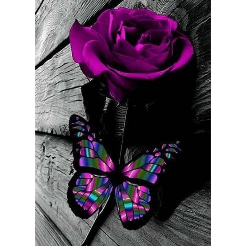 Purple Rose & Bu...