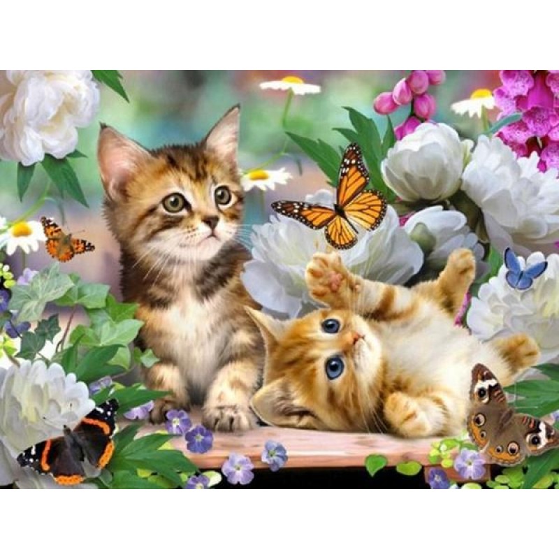 Kittens, Flowers &am...