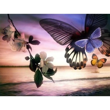 Butterflies & Landscape Beauty