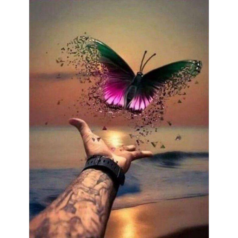 Beautiful Butterfly ...