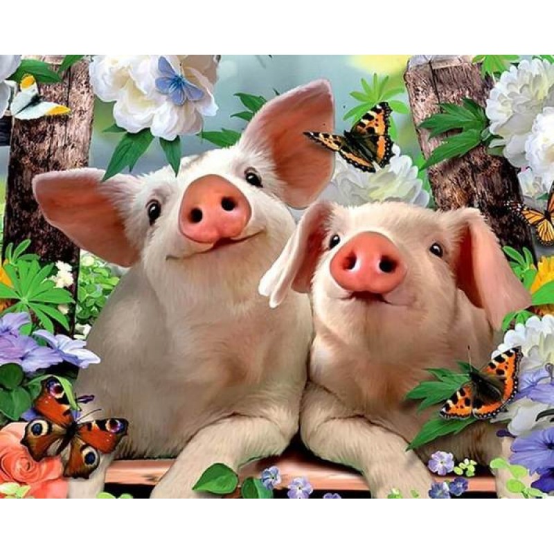 Pigs & Butterfli...