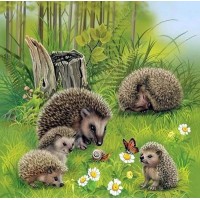 Hedgehog Family Painting ...