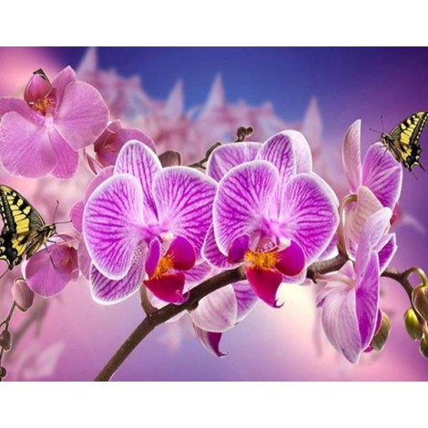 Orchids & Butterflies Painting Kit