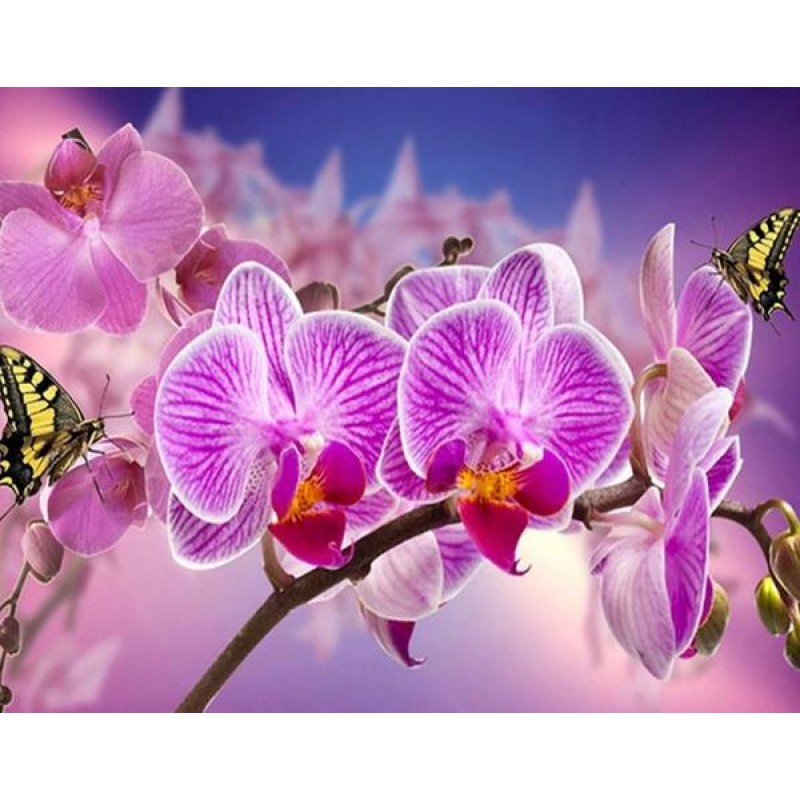 Orchids & Butter...